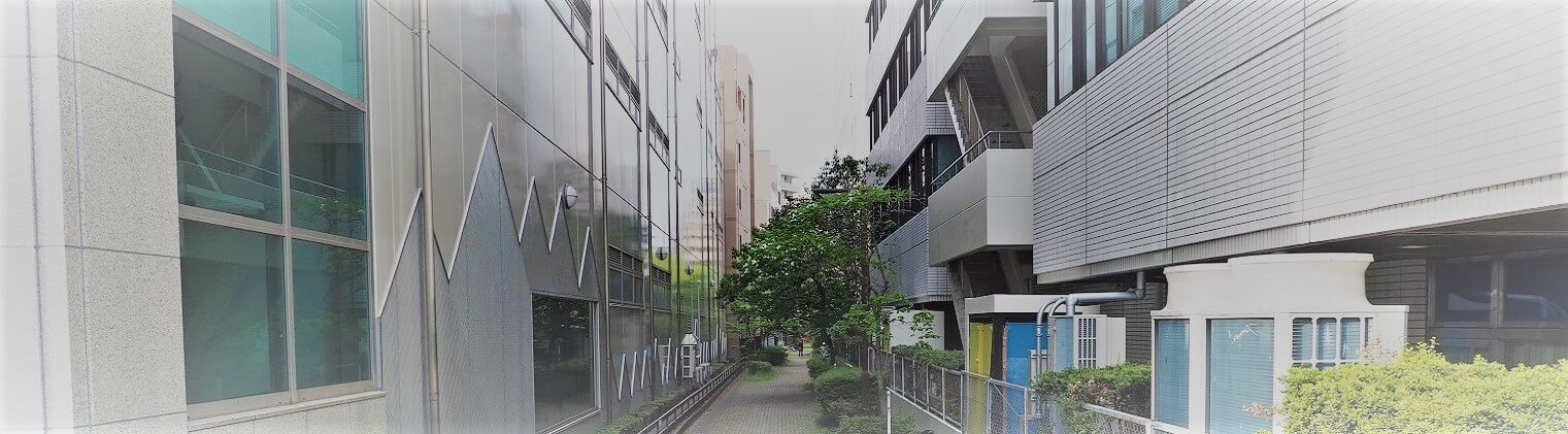 横浜駅前の小道