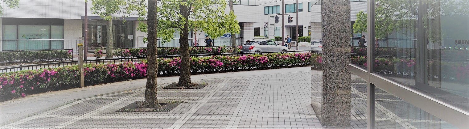 横浜駅西口の通り